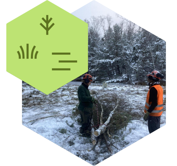 Landschaftspflege / Bild