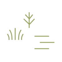 Grafisch illustrierte kleine, icon-mäßige Gestaltung von Flechten in zartem Braun.